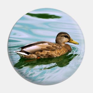 A Duck Swimming In a Pond Pin