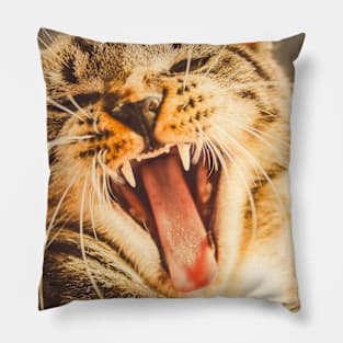 Cute cat Pillow