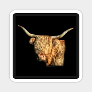 Highland Cow Portrait in colour Magnet