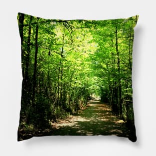 Yarrangobilly Path Pillow