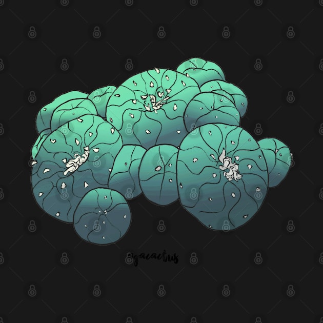 Lophophora Diffusa by Agacactus by AgaCactus