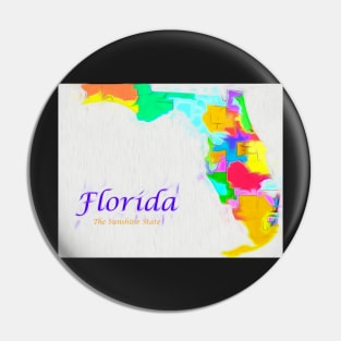 Florida The Sunshine State Pin