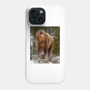 Grizzly Bear Phone Case