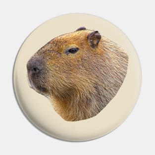 Capybara head Pin