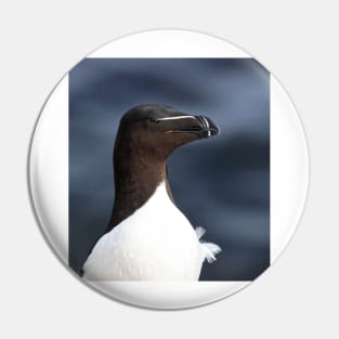 Razorbill Pin