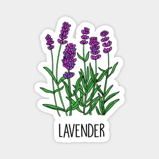 Lavender Purple Passion Magnet