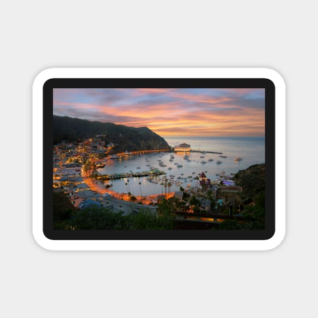 Catalina Island Magnet by jswolfphoto