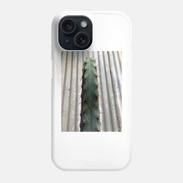 Trichocereus Bridgesii 'Con' Front Only Phone Case by amigoscactusandplants