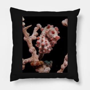 A Pygmy Seahorse in Indonesia Pillow