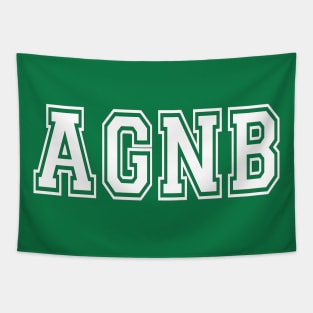 AGNB All Gas No Brakes Tapestry