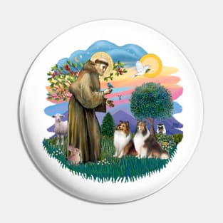 Saint Francis Blesses Two Shetland Sheepdogs Pin