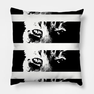 Cat Eyes Pillow