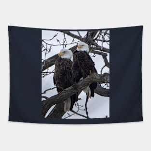 Bald eagles sitting on a branch Tapestry