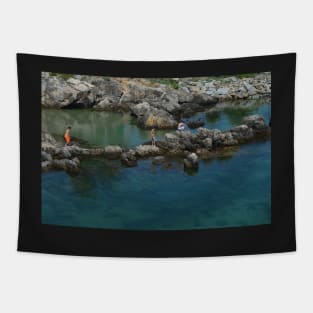 Boys on the Rocks Tapestry