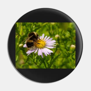 bee on a flower Pin