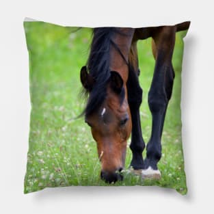 Chestnut Horse Pillow