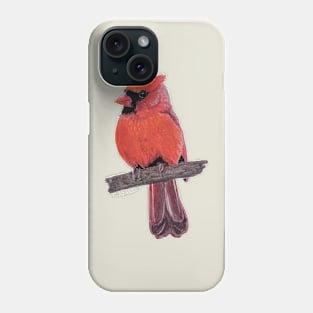 Fluffy Northern Cardinal on a branch painting Phone Case