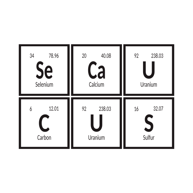 Secaucus | Periodic Table by Maozva-DSGN