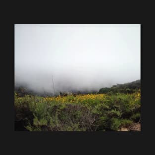 Foggy Morning Nature Scene in San Deigo T-Shirt