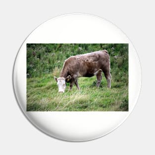 Irish Cattle Pin