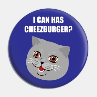 Funny Cat Meme Can I Has Cheezburger? Pin