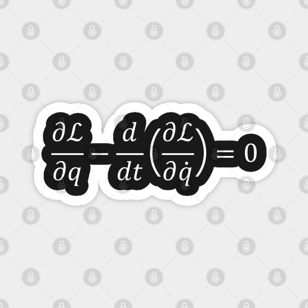 Euler Lagrange Equation Magnet by ScienceCorner