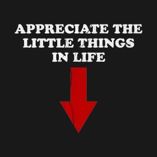 Appreciate the little things in life - offensive adult humor T-Shirt