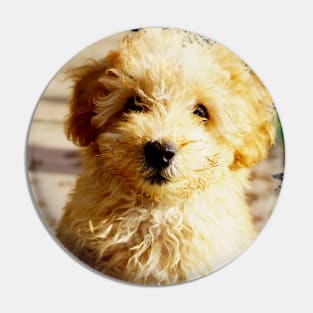 Toy Poodle Pup Pin