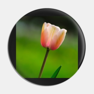 Pink Tulip Pin