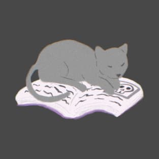 Witchy Kitty Sleeping T-Shirt