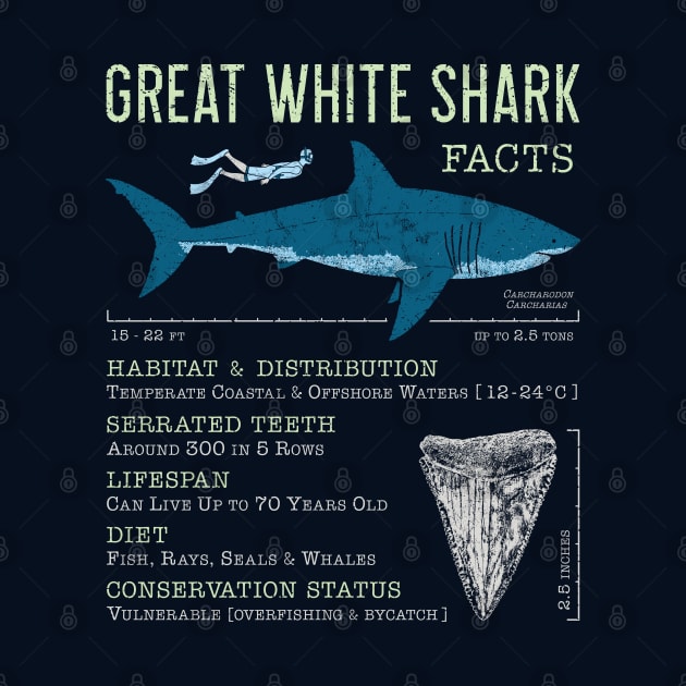 Great White Shark Facts by IncognitoMode