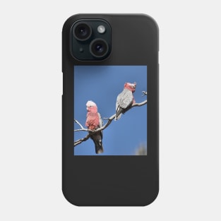 Australian Galahs at Yourambulla Phone Case