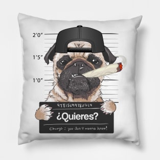 ¿Quieres? Pillow