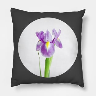 Iris Pillow