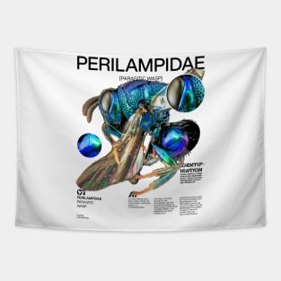 PERILAMPIDAE Tapestry