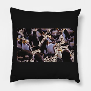 Royal Penguins Nesting in the Rookery Pillow