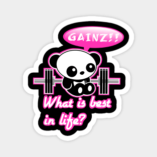 Panda Gainz Magnet