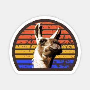 Funny Llama Alpaca Shirt Magnet