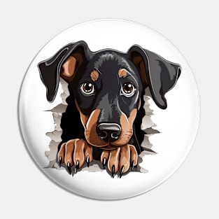 Baby Doberman Pinscher Dog Peeking Pin