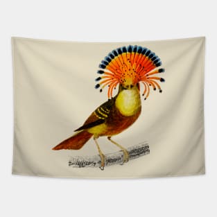 Vintage royal flycatcher bird - animalia Tapestry