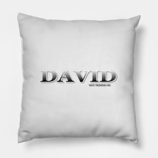 DAVID. MY NAME IS DAVID. SAMER BRASIL Pillow