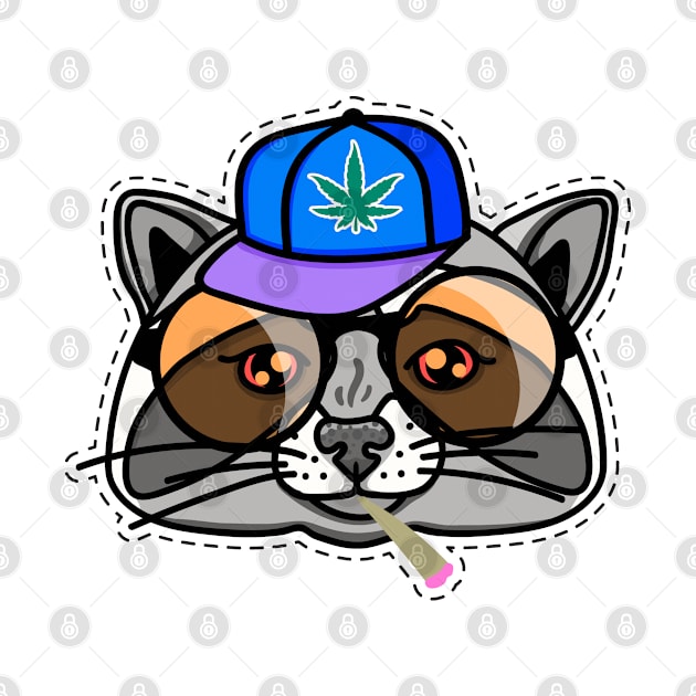 Boy raccoon in a cap and sunglasses by ingamaya