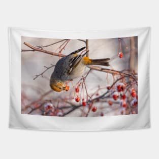 Grosbeak Tapestry