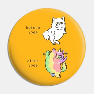 Persian Cat After Yoga Pin