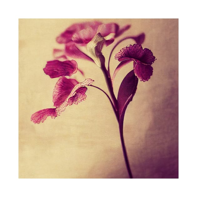 Pink Silk Fabric Flowers by AntielARt