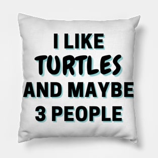 I Like Turtles And Maybe 3 People Pillow