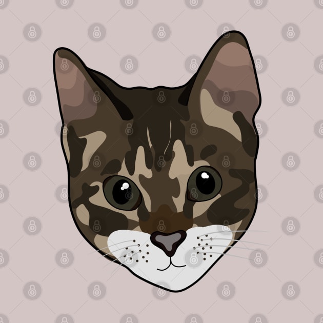Lovely Tabby Cat Face by crankycranium