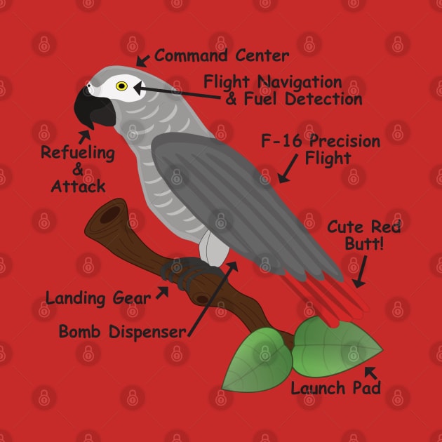 Anatomy of an African Grey Parrot by Einstein Parrot