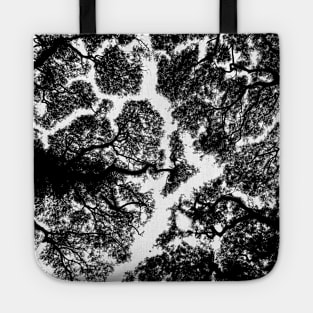 View into the trees - abstract tree texture Tote