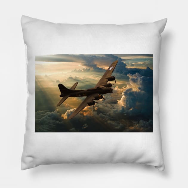 Sunset Sally Pillow by SteveWard